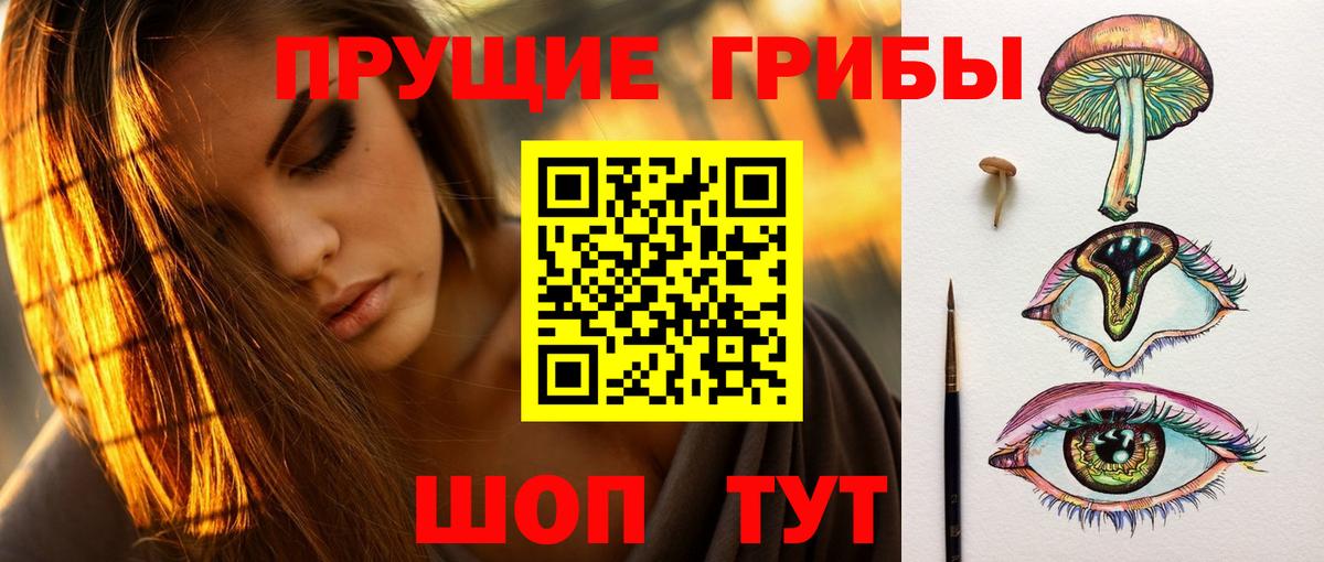 Буйнакск  Галлюциногенные грибы Psilocybe  Вход с VPN 