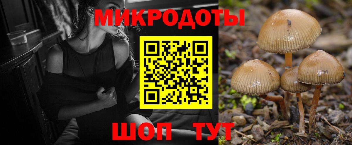 Галлюциногенные грибы мухоморы Буйнакск